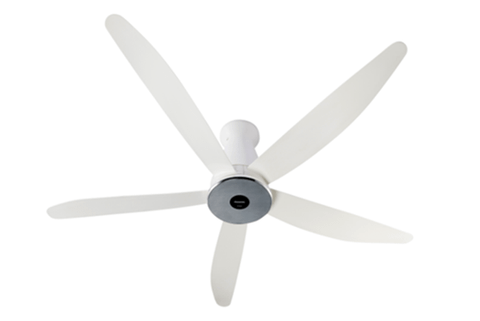 Quạt trần 5 cánh Panasonic DC F-60XDN