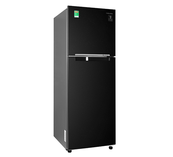 Tủ lạnh Samsung Inverter 236 lít RT22M4032BU/SV