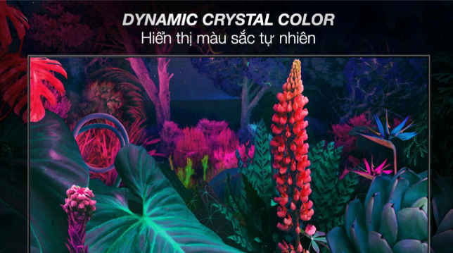 Smart Tivi Samsung 4K Crystal UHD 65 inch UA65BU8000