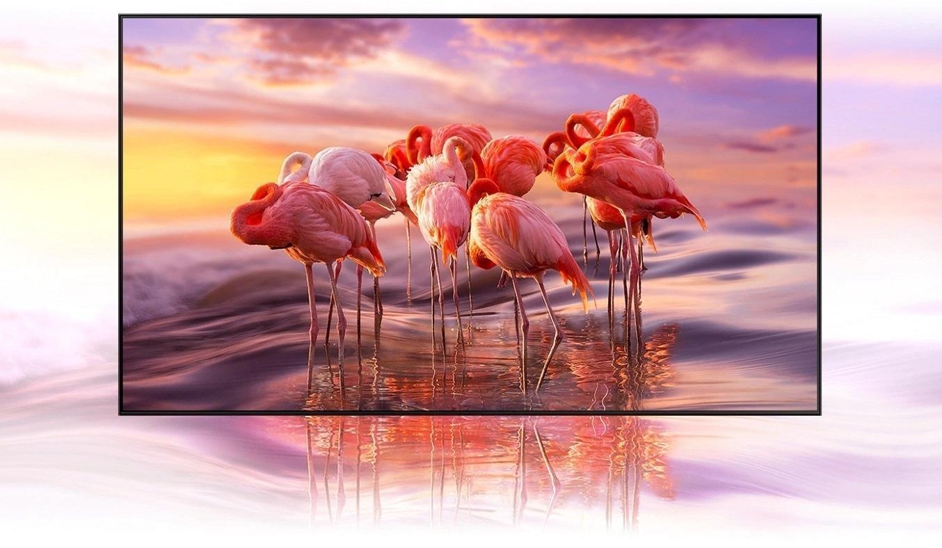 Smart Tivi LG 4K 50 inch 50UQ8000PSC