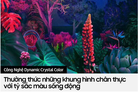 Smart Tivi Samsung 4K Crystal UHD 55 inch UA55BU8500