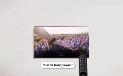 Smart Tivi LG UHD 4K 65 inch 65UQ8050PSB