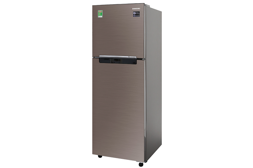 Tủ lạnh Samsung Inverter 236 lít RT22M4032DX/SV