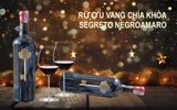 Rượu Vang Ý Segreto Puglia - Chìa Khóa 16 độ Thượng hạng - Chai 750ml (6)