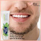 Kem đánh răng Dontodent hàng nội địa Đức cho răng sáng khoẻ - Tuýp 125ml