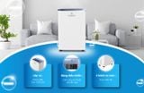 Máy hút ẩm công nghệ Đức Kosmen KM-12N