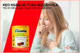 Kẹo ngậm ho thảo mộc Ricola Đức 100 viên - Hộp 250gr (12)