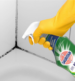Bộ 3 sản phẩm vệ sinh nhà cửa cao cấp Sagrotan nhập khẩu Đức - Chai 750ml (6)