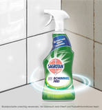 Bộ 3 sản phẩm vệ sinh nhà cửa cao cấp Sagrotan nhập khẩu Đức - Chai 750ml (6)