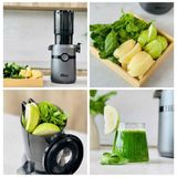 Máy Ép Chậm OLIVO SJ240 Giải Pháp Hoàn Hảo Cho Việc Ép Kết Hợp Trái Cây, Rau Củ