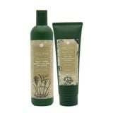  Combo giảm rụng tóc và kích thích mọc tóc Weilaiya (dành cho da đầu thường đến khô) 