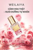  Combo chăm sóc tóc huyền thoại Weilaiya 