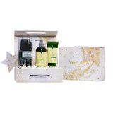  Set hộp quà Sao 1 cặp gừng detox + 1 Phủ màu dưỡng tóc 