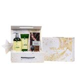  Set hộp quà Sao 1 cặp gừng detox + 1 Phủ màu dưỡng tóc 