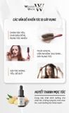  Serum kích mọc và làm dày tóc Weilaiya Ginger Hair Root Nourishing Essence 