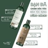  Combo 2 cặp dầu gội gừng giảm rụng tóc, kích thích mọc tóc Weilaiya 