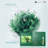  Combo 2 hộp mặt nạ dưỡng da cao cấp Weilaiya 