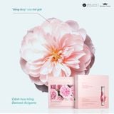  Combo 2 hộp mặt nạ dưỡng da cao cấp Weilaiya 