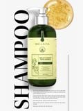  Bộ dầu gội gừng detox hỗ trợ mọc tóc Weilaiya Luxury 420mlx200ml 