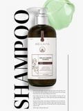  Bộ dầu gội gừng hỗ trợ mọc tóc và giảm lão hóa da đầu Weilaiya Luxury 420mlx200ml 