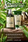  Bộ dầu gội gừng detox hỗ trợ mọc tóc Weilaiya Luxury 420mlx200ml 