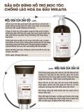  Bộ dầu gội gừng hỗ trợ mọc tóc và giảm lão hóa da đầu Weilaiya Luxury 420mlx200ml 