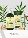  Bộ dầu gội gừng detox hỗ trợ mọc tóc Weilaiya Luxury 420mlx200ml 