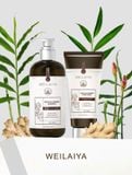  Bộ dầu gội gừng hỗ trợ mọc tóc và giảm lão hóa da đầu Weilaiya Luxury 420mlx200ml 