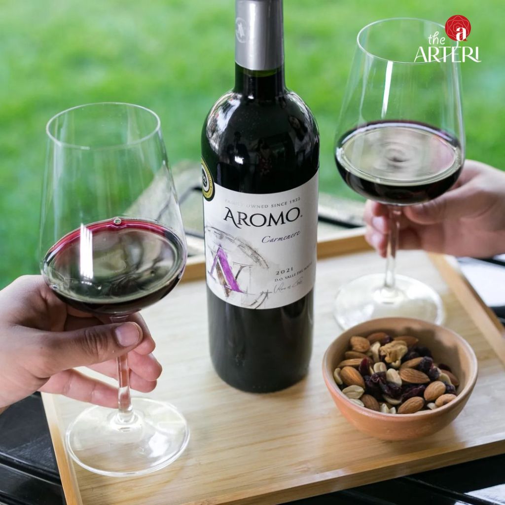 Rượu Vang Đỏ Aromo Carmenere 750ml Vang Chile Viña Aromo