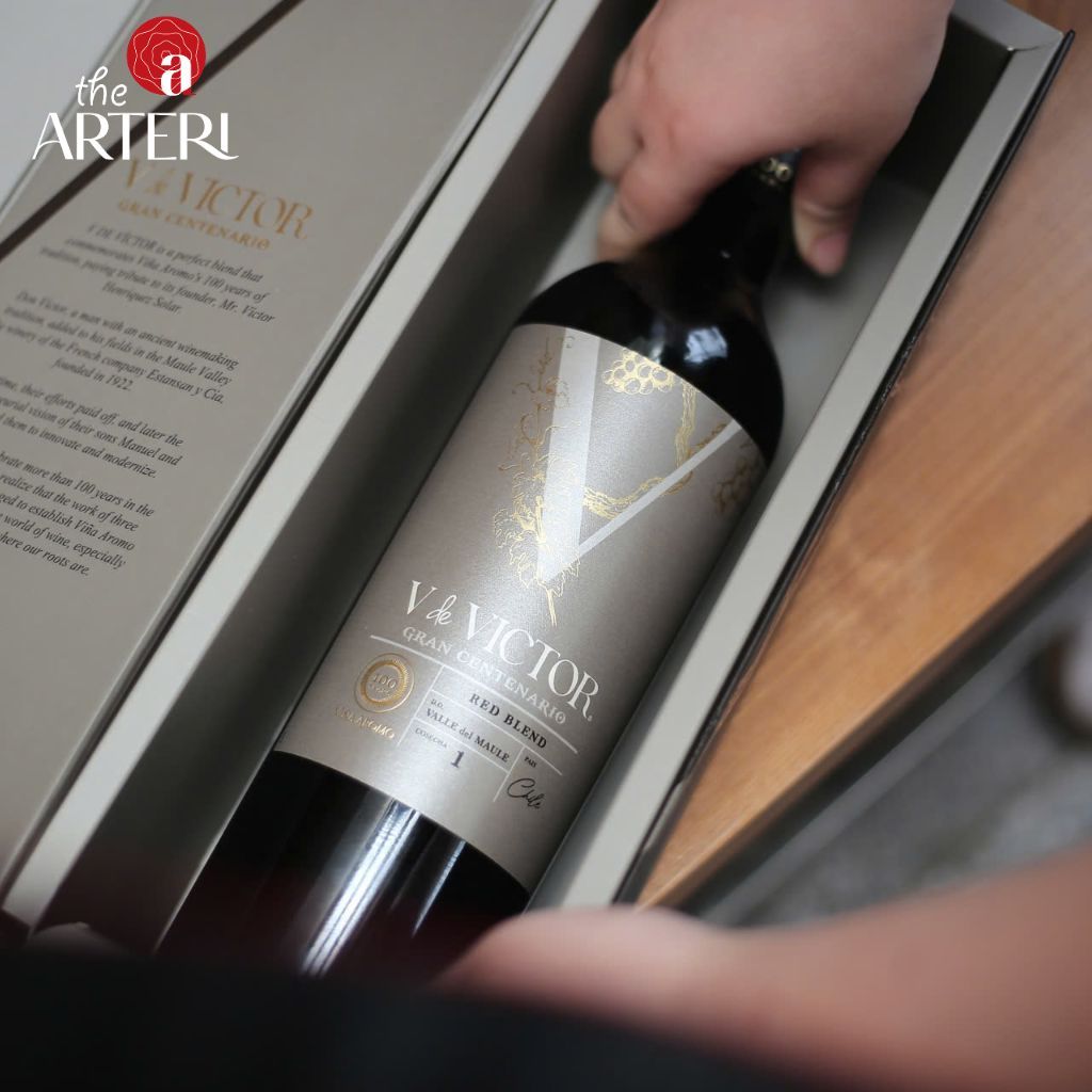 Rượu Vang Đỏ V de Víctor Gran Centenario Blend 750ml Vang Chile Viña Aromo
