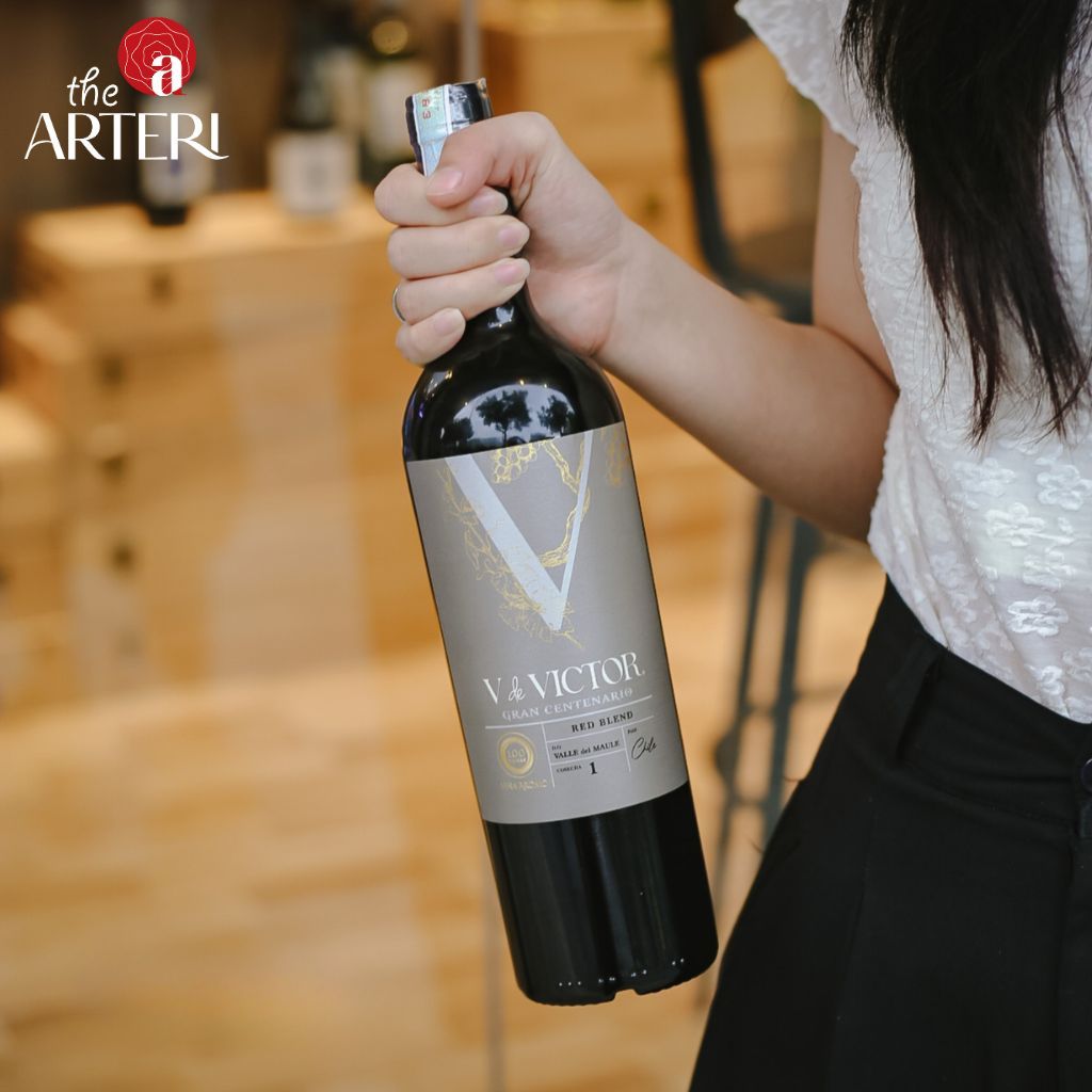 Rượu Vang Đỏ V de Víctor Gran Centenario Blend 750ml Vang Chile Viña Aromo