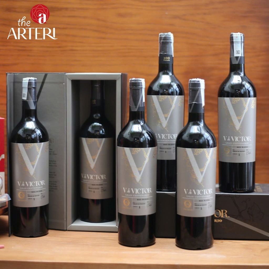Rượu Vang Đỏ V de Víctor Gran Centenario Blend 750ml Vang Chile Viña Aromo