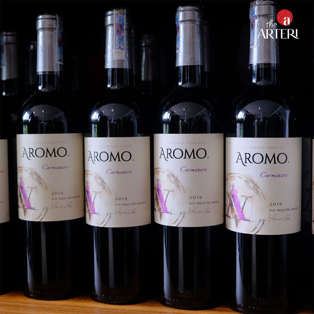 Rượu Vang Đỏ Aromo Carmenere 750ml Vang Chile Viña Aromo