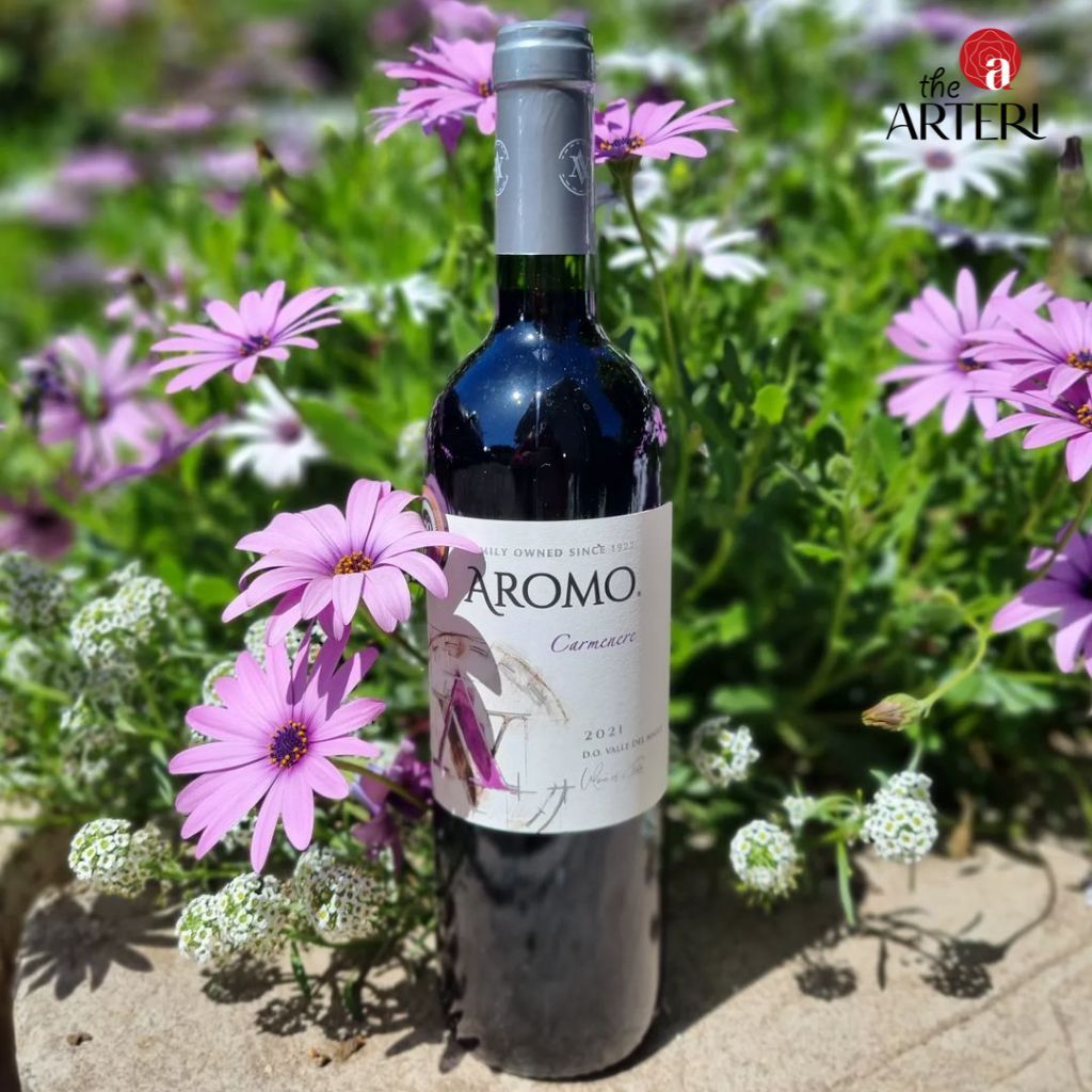 Rượu Vang Đỏ Aromo Carmenere 750ml Vang Chile Viña Aromo
