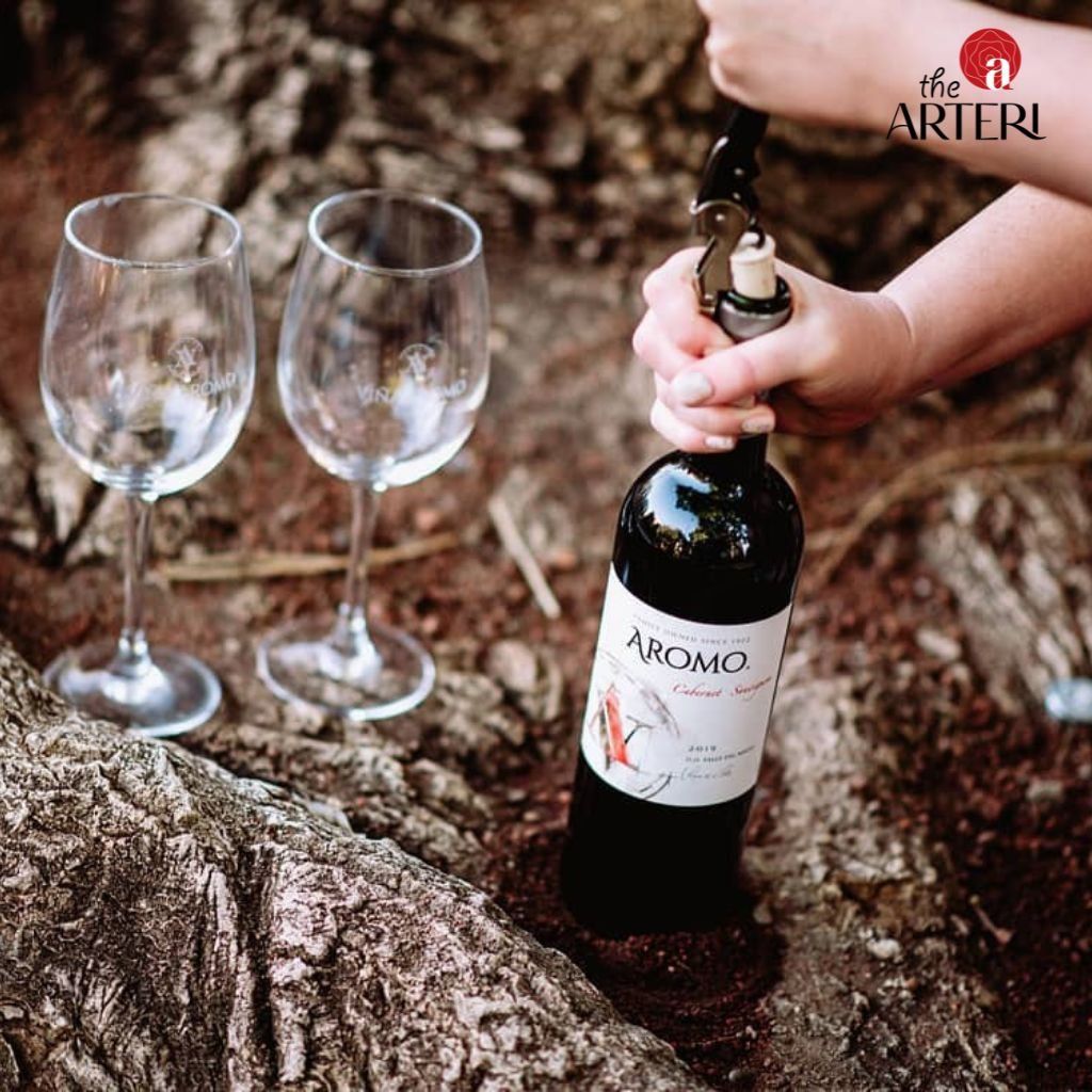 Rượu Vang Đỏ Aromo Cabernet Sauvignon 750ml Vang Chile Viña Aromo