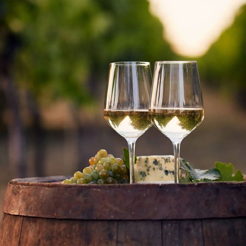 Rượu vang nổ Aromo Brut - Chardonnay (12.5%/ Vol) Viña Aromo