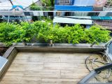 Nhà Phố HIện Đại Hẻm Xe Hơi 1806 Huỳnh Tấn Phát Thị Trấn Nhà Bè