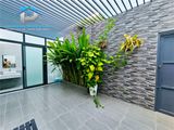 Nhà Phố Cổ Điển Khu Dân Cư Anh Tuấn Green Riverside Nhà Bè