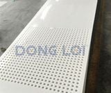  Tấm Nhựa PP Đục Lỗ Rochling - Đức 