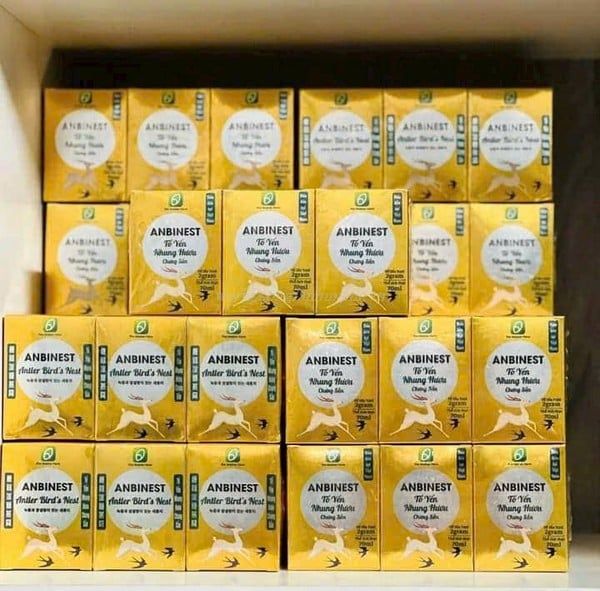 Yến Nhung Hươu Anbinest (Gold) Chưng Sẵn - Bổ Xương Khớp Người Già