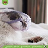  Mặt nạ nhựa trong chống cắn cho mèo | OMP 