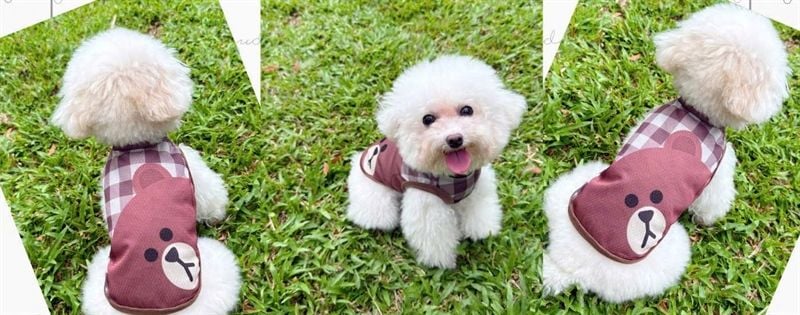  Áo thun chó mèo yudog 