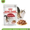 ROYAL CANIN | Pate mèo trưởng thành | Instinctive Pate