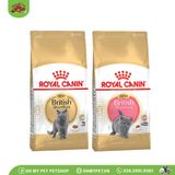  ROYAL CANIN British Shorthair | Thức ăn cho mèo Anh lông ngắn 