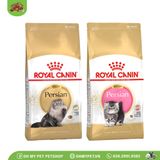  ROYAL CANIN Perisan | Thức ăn hạt cho mèo Ba Tư 