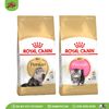 ROYAL CANIN Perisan | Thức ăn hạt cho mèo Ba Tư