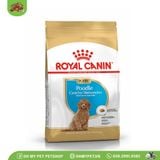  ROYAL CANIN Poodle | Thức ăn hạt cho chó Poodle 