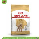  ROYAL CANIN Poodle | Thức ăn hạt cho chó Poodle 