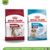 ROYAL CANIN | Thức ăn hạt cho chó cỡ trung | Medium