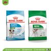 ROYAL CANIN | Thức ăn hạt cho chó nhỏ | Mini
